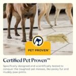 BISSELL SpotClean Pet, Carpet Cleaner, Portable Spot Cleaner, Spills & Carpet Stain Remover - Image 3